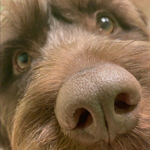 Meet your Posher, Ashleigh